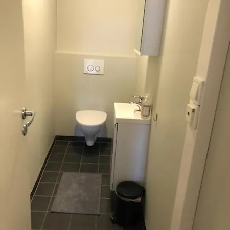 Vetrlidsalmenningen Apartament *
